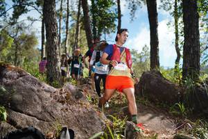 BIB: 
                            <button type="button" onclick="openModal(18955036)" class="btn btn-primary btn-sm float-right btn-popup" data-toggle="modal" data-target=".modal-high-quality">
                        <i class="fas fa-shopping-cart"></i> Add to Cart
                    </button>
                                            <button type="button" onclick="isThisMe(18955036, true)" class="btn btn-success btn-sm float-right btn-popup btn-isme hidden" data-toggle="tooltip" data-placement="bottom" title="นี่คือรูปของคุณใช่ไหม คลิกที่นี่เพื่อเอาเข้าอัลบั้ม">
                        <i class="fas fa-plus"></i> Add to album
                    </button>
                    <button type="button" onclick="isThisMe(18955036, false)" class="btn btn-warning btn-sm float-right btn-popup btn-isnotme hidden">
                        <i class="fas fa-ban"></i> Remove from album
                    </button>